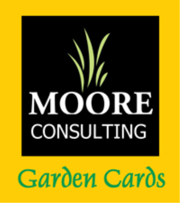 Moore Consulting